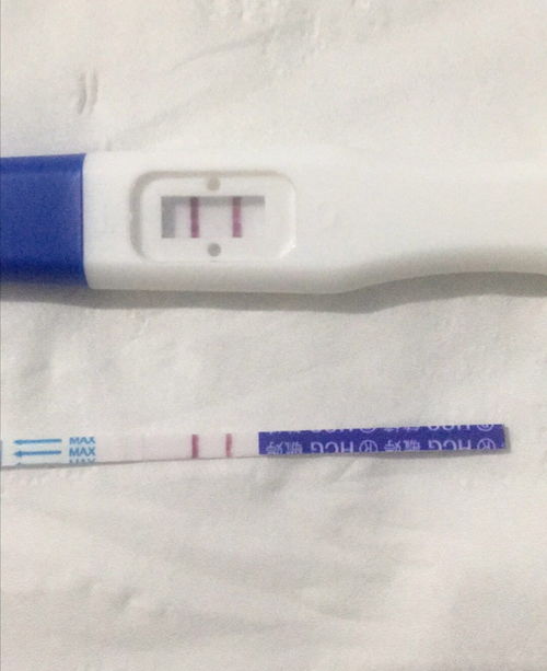 40歲還可以通過(guò)試管嬰兒生寶寶嗎？權(quán)威解答與注意事項(xiàng)